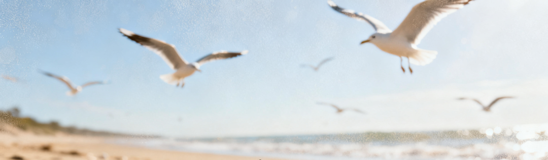 也许这就是变好的秘诀之一