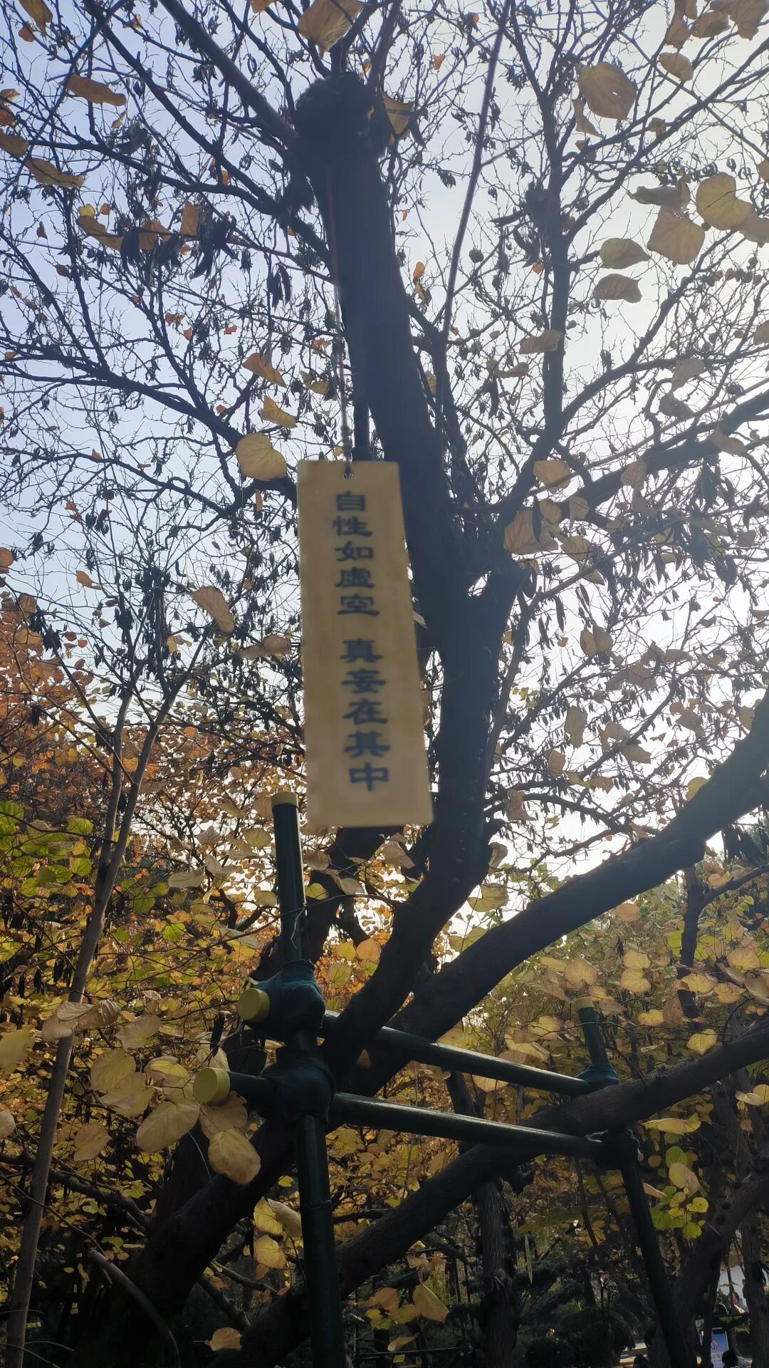 西安再见,肉夹馍再见 西安再见,肉夹馍再见