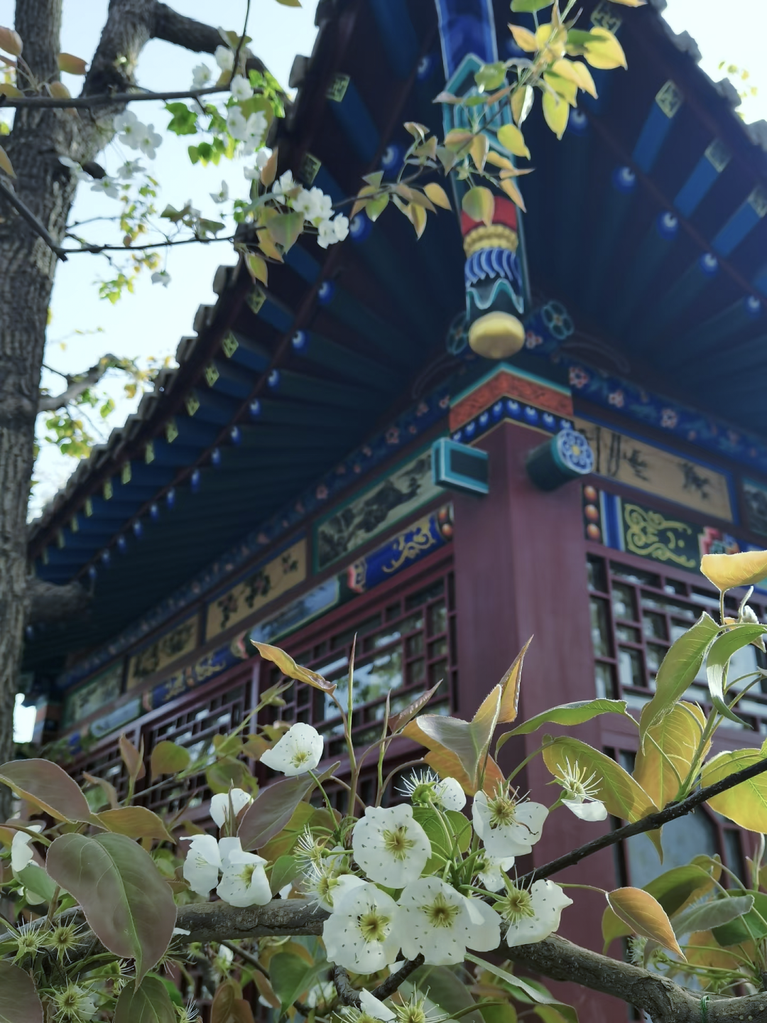穷游富游，都不如少年游。