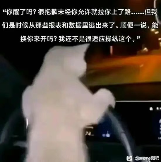 笨蛋是怎样练成的？