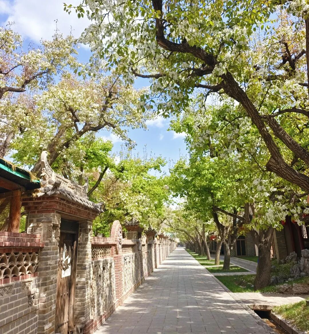穷游富游，都不如少年游。